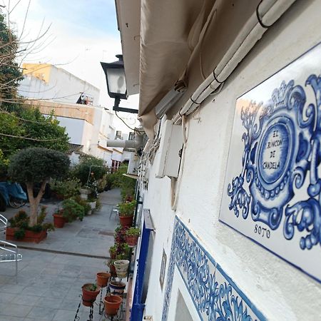 Tipico Y Pintoresco Patio De Vecinos, Con Encanto Sevilla Dış mekan fotoğraf