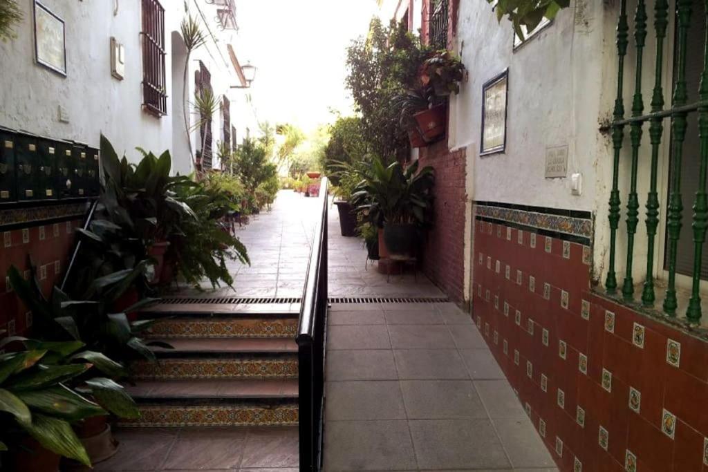 Tipico Y Pintoresco Patio De Vecinos, Con Encanto Sevilla Dış mekan fotoğraf