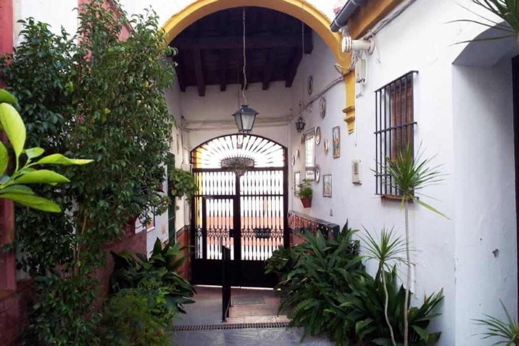 Tipico Y Pintoresco Patio De Vecinos, Con Encanto Sevilla Dış mekan fotoğraf