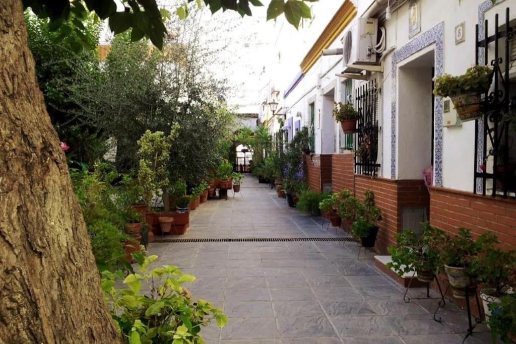 Tipico Y Pintoresco Patio De Vecinos, Con Encanto Sevilla Dış mekan fotoğraf