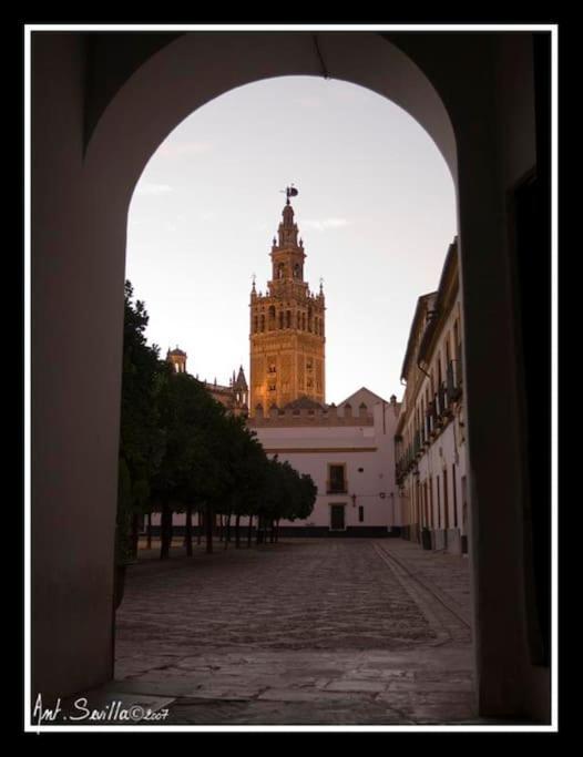 Tipico Y Pintoresco Patio De Vecinos, Con Encanto Sevilla Dış mekan fotoğraf