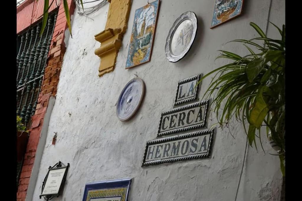 Tipico Y Pintoresco Patio De Vecinos, Con Encanto Sevilla Dış mekan fotoğraf