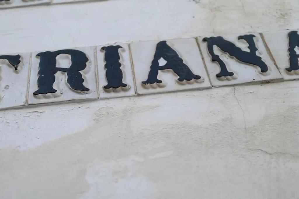 Tipico Y Pintoresco Patio De Vecinos, Con Encanto Sevilla Dış mekan fotoğraf