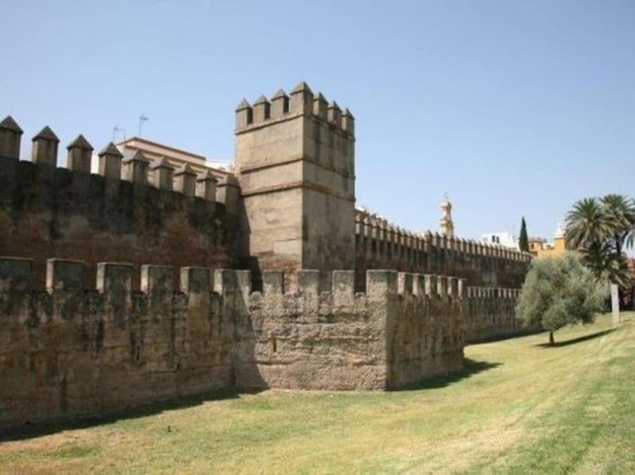 Tipico Y Pintoresco Patio De Vecinos, Con Encanto Sevilla Dış mekan fotoğraf