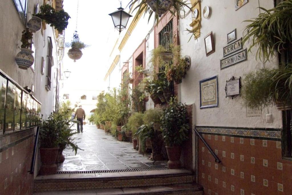 Tipico Y Pintoresco Patio De Vecinos, Con Encanto Sevilla Dış mekan fotoğraf