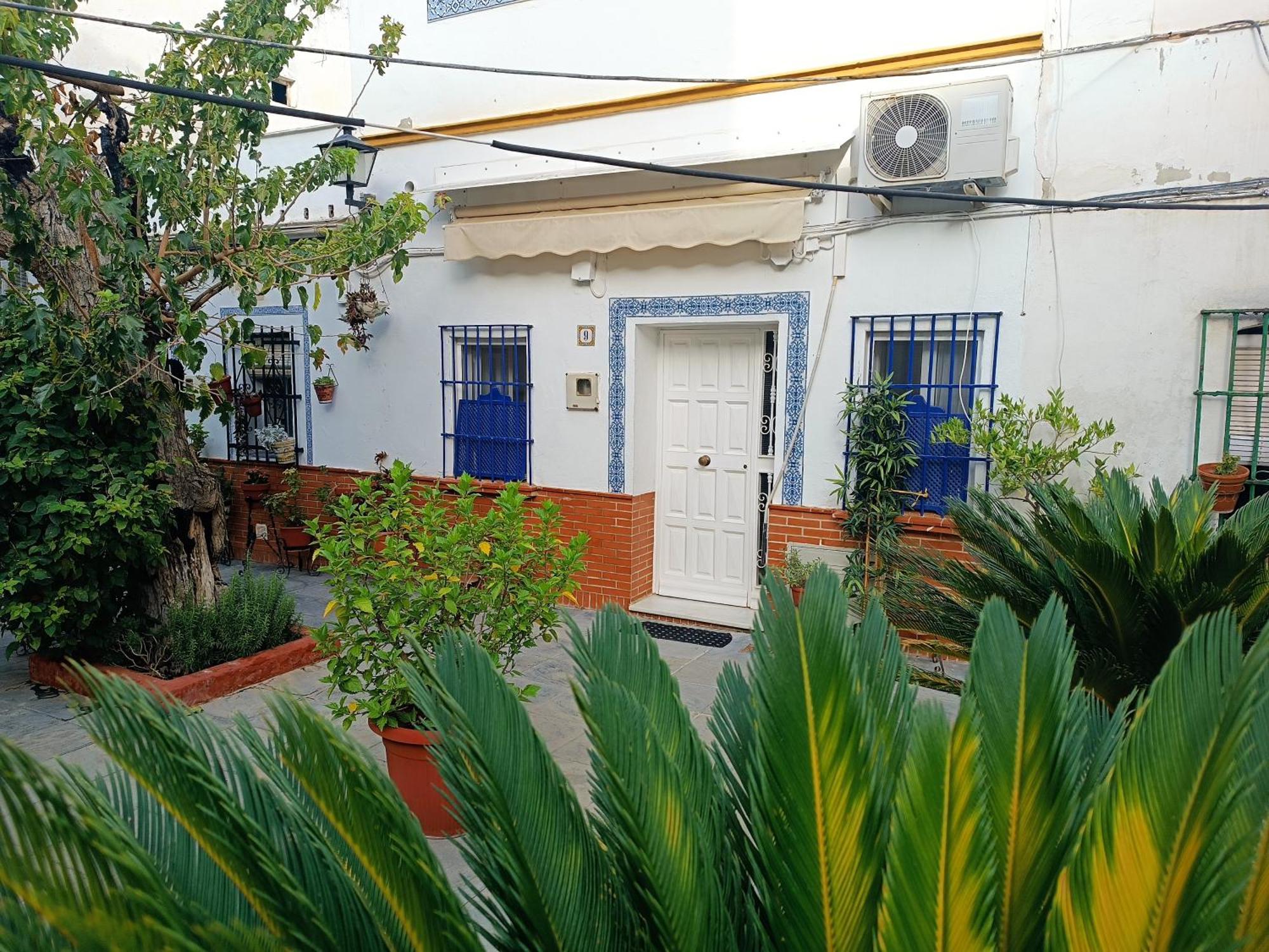 Tipico Y Pintoresco Patio De Vecinos, Con Encanto Sevilla Dış mekan fotoğraf
